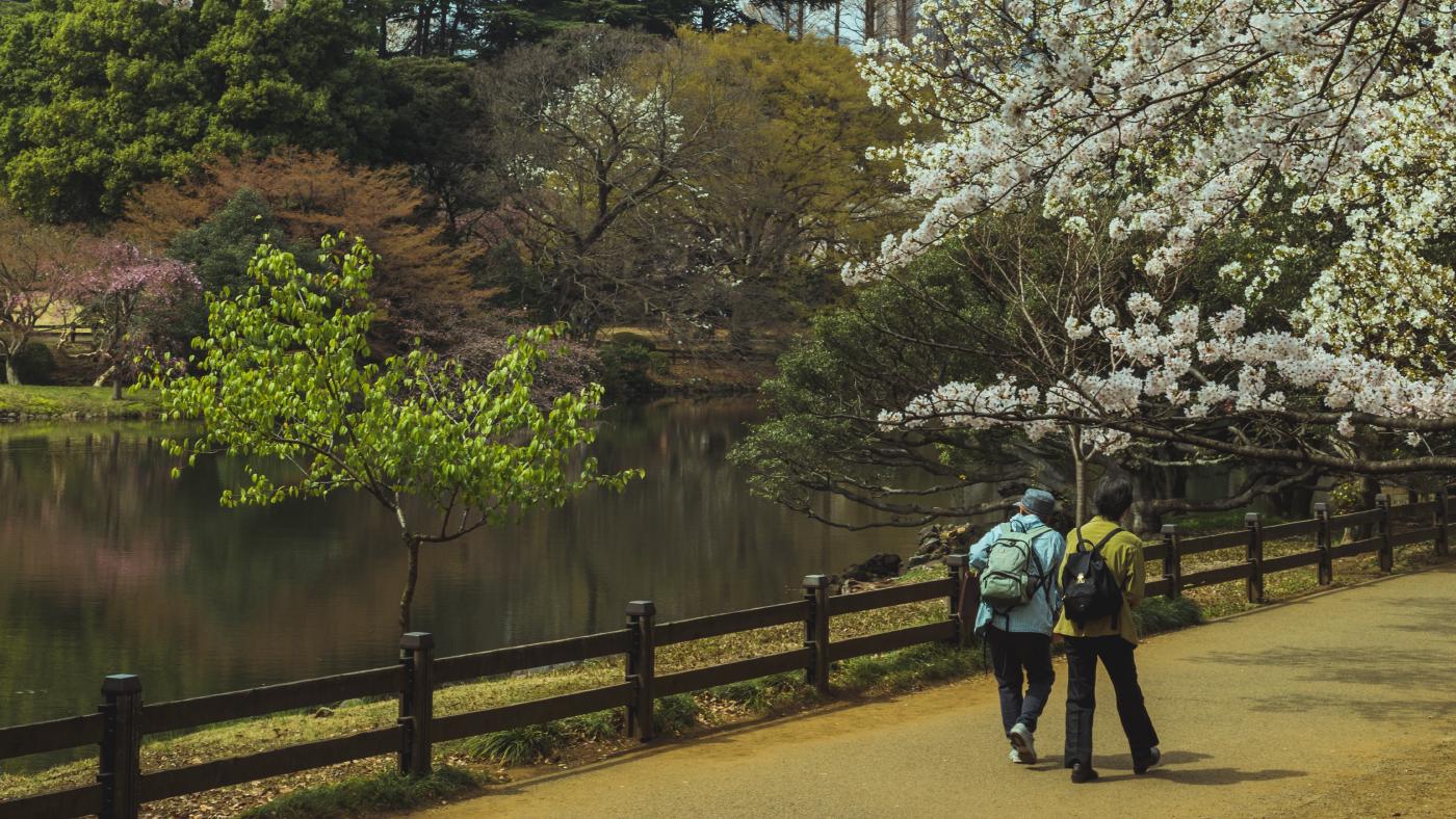 Shinjuku Gyo-en